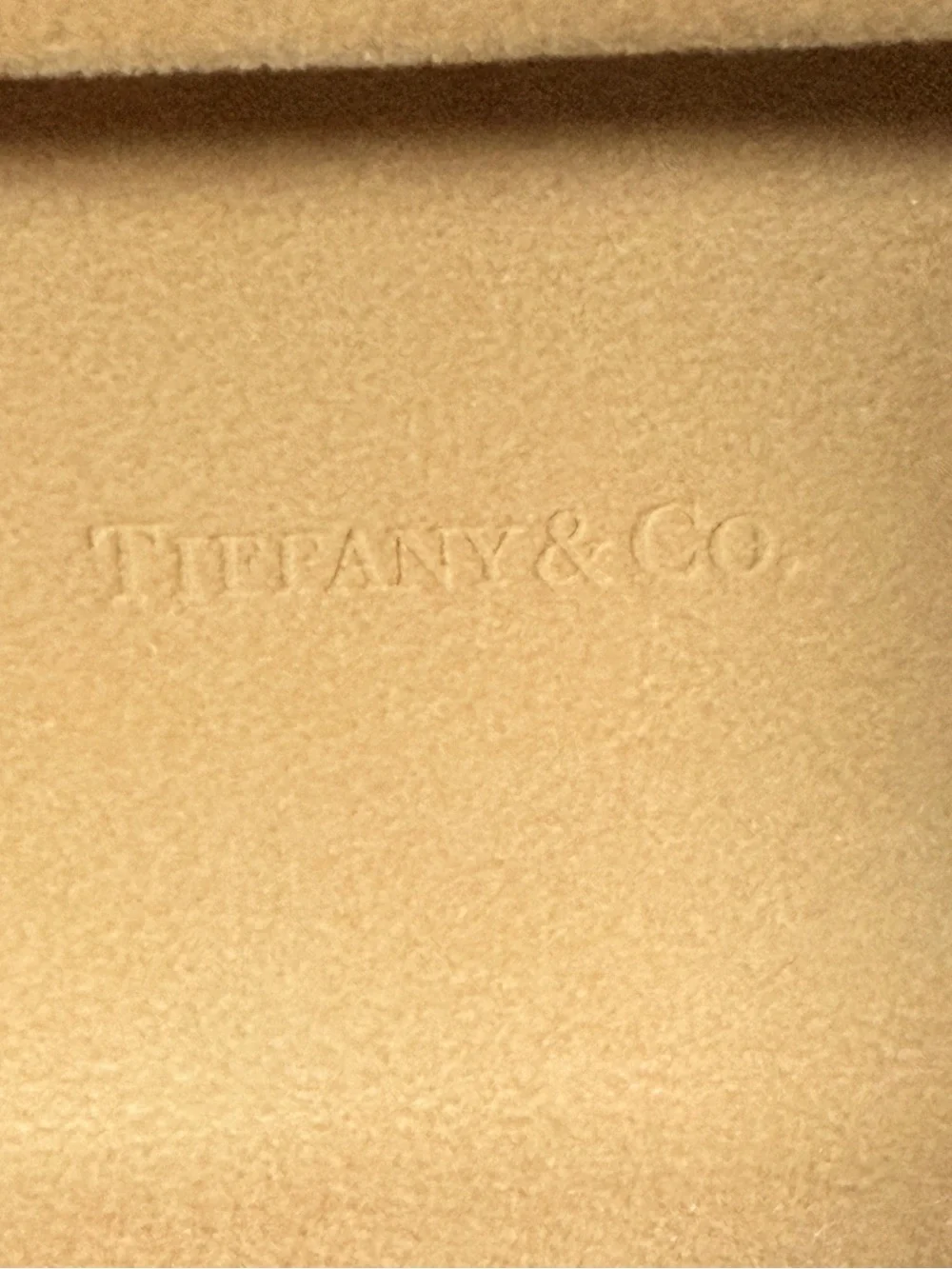 Tiffany & Co Genuine Robin's Egg Blue Sunglasses Hard Case